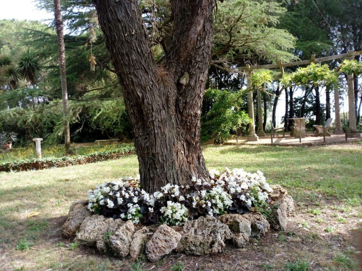 Agroturismo - Quarto Del Cuore *